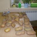 ziemniak (14)